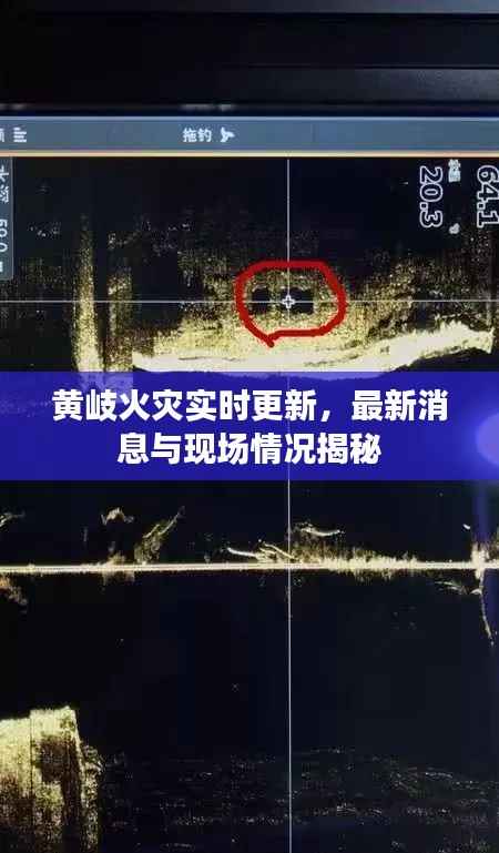 黄岐火灾实时更新，最新消息与现场情况揭秘