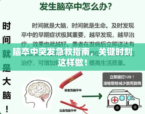 脑卒中突发急救指南，关键时刻这样做！