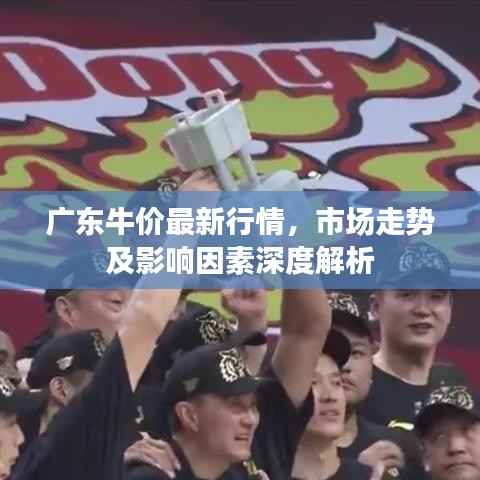 广东牛价最新行情，市场走势及影响因素深度解析