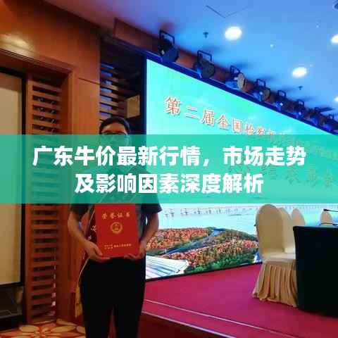 广东牛价最新行情,市场走势及影响因素深度解析