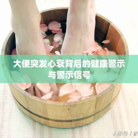 大便突发心衰背后的健康警示与警示信号