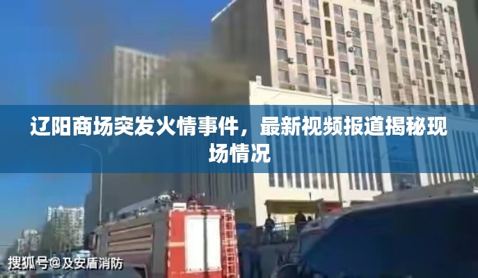 辽阳商场突发火情事件，最新视频报道揭秘现场情况