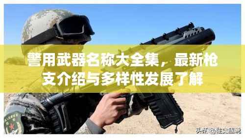 警用武器名称大全集,最新枪支介绍与多样性发展了解