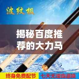 揭秘百度推荐的大力马海竿价格!