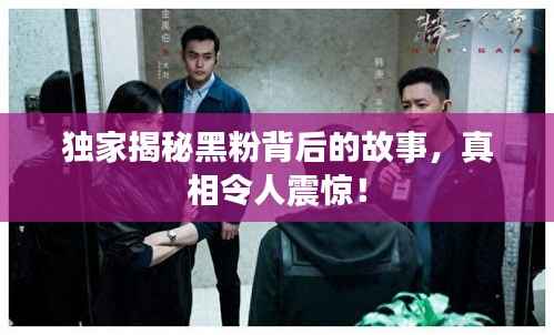 独家揭秘黑粉背后的故事，真相令人震惊！