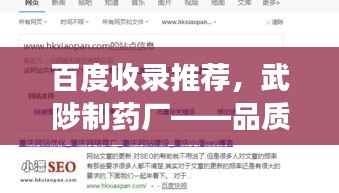 百度收录推荐,武陟制药厂——品质与实力的完美展现