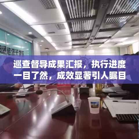 巡查督导成果汇报,执行进度一目了然,成效显著引人瞩目