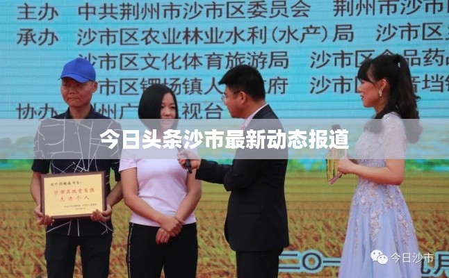 今日头条沙市最新动态报道