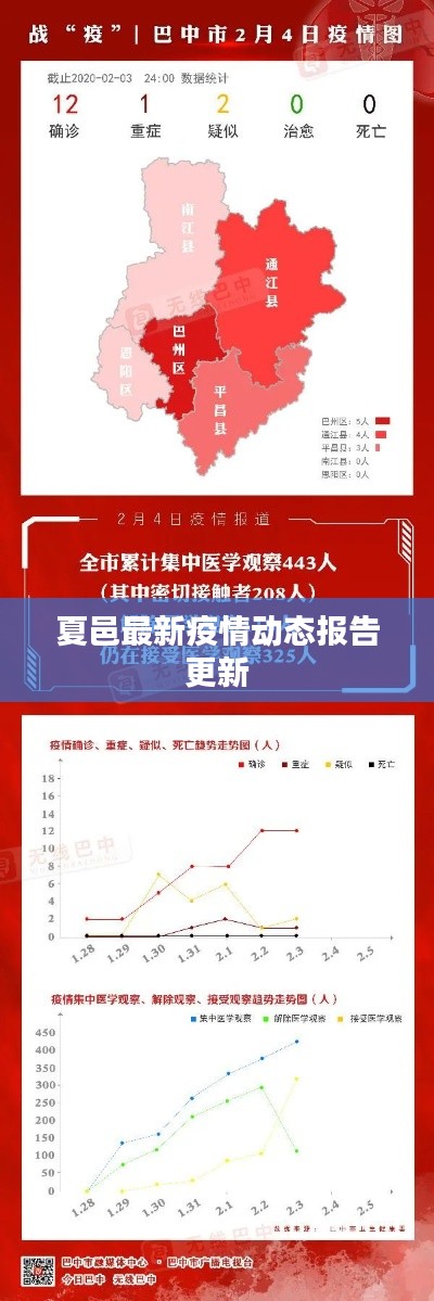夏邑最新疫情动态报告更新