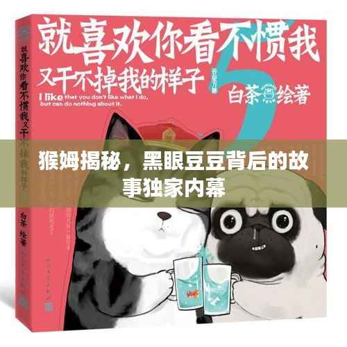 猴姆揭秘,黑眼豆豆背后的故事独家内幕