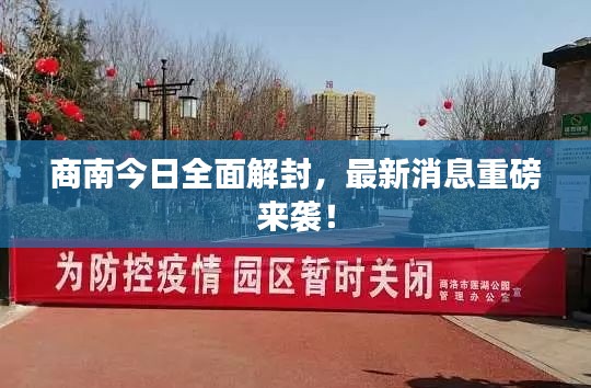 商南今日全面解封，最新消息重磅来袭！