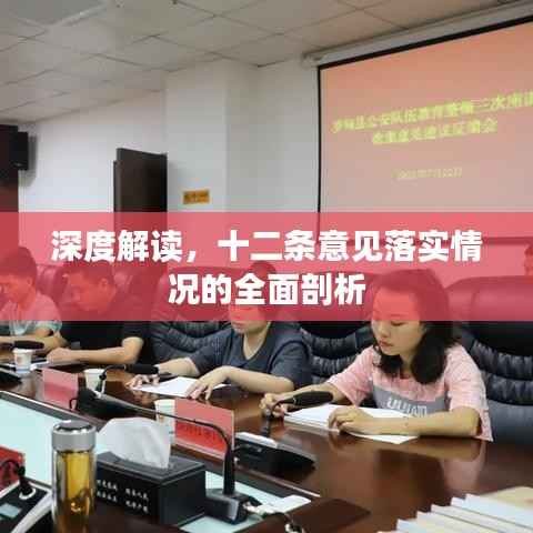 深度解读,十二条意见落实情况的全面剖析