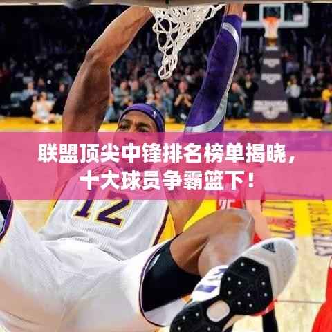 联盟顶尖中锋排名榜单揭晓,十大球员争霸篮下!
