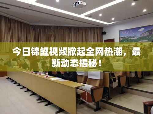 今日锦鲤视频掀起全网热潮，最新动态揭秘！