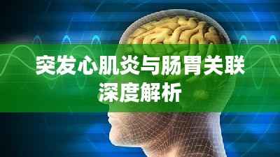 突发心肌炎与肠胃关联深度解析
