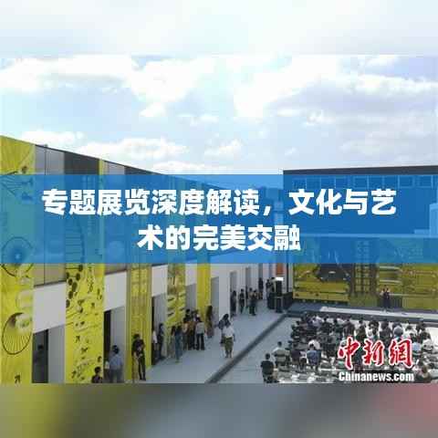 专题展览深度解读,文化与艺术的完美交融