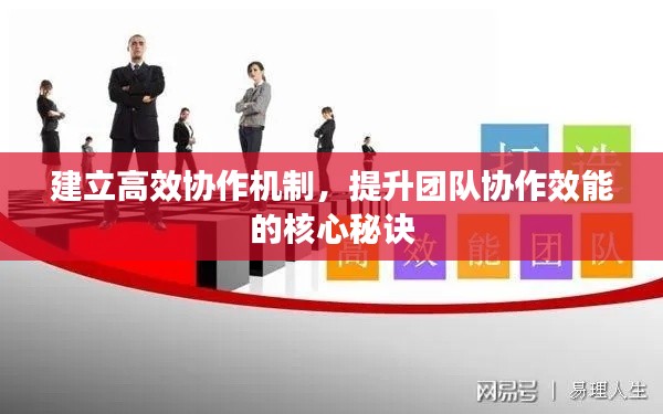 建立高效协作机制,提升团队协作效能的核心秘诀