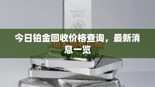今日铂金回收价格查询，最新消息一览