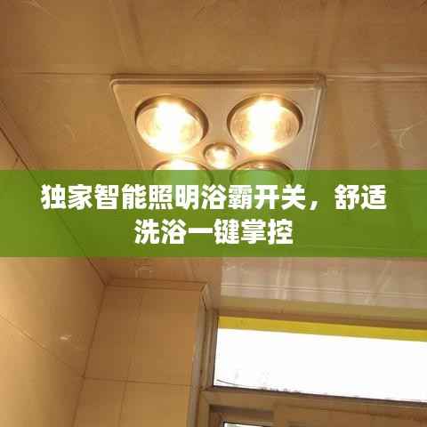 独家智能照明浴霸开关，舒适洗浴一键掌控