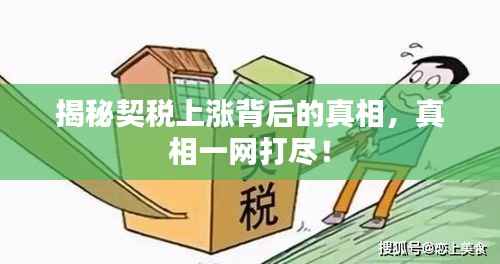 揭秘契税上涨背后的真相,真相一网打尽!