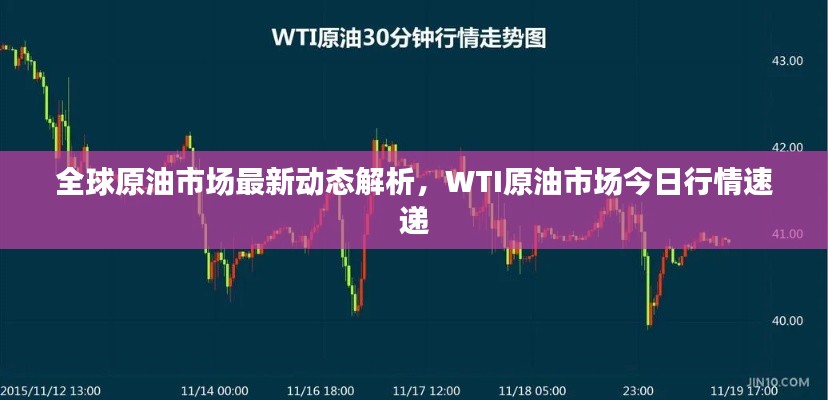 全球原油市场最新动态解析,WTI原油市场今日行情速递