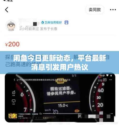 闲鱼今日更新动态，平台最新消息引发用户热议