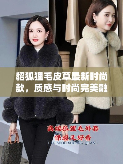 貂狐狸毛皮草最新时尚款,质感与时尚完美融合