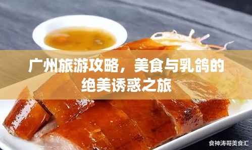 广州旅游攻略，美食与乳鸽的绝美诱惑之旅