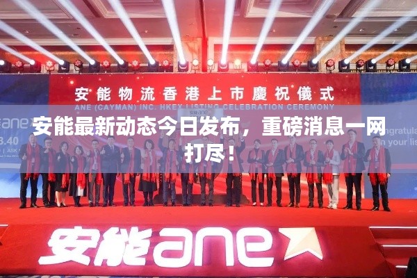 安能最新动态今日发布,重磅消息一网打尽!