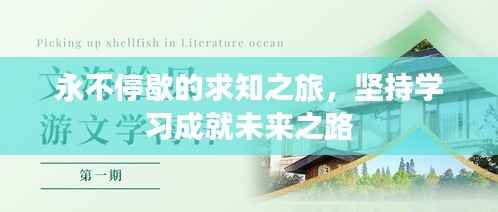 永不停歇的求知之旅,坚持学习成就未来之路