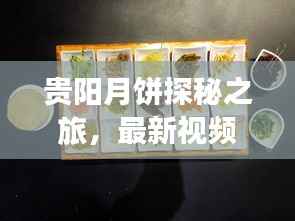 贵阳月饼探秘之旅，最新视频带你领略月饼魅力