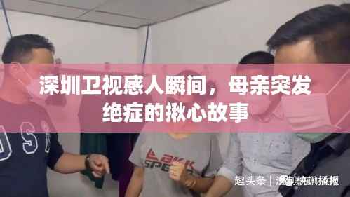 深圳卫视感人瞬间,母亲突发绝症的揪心故事