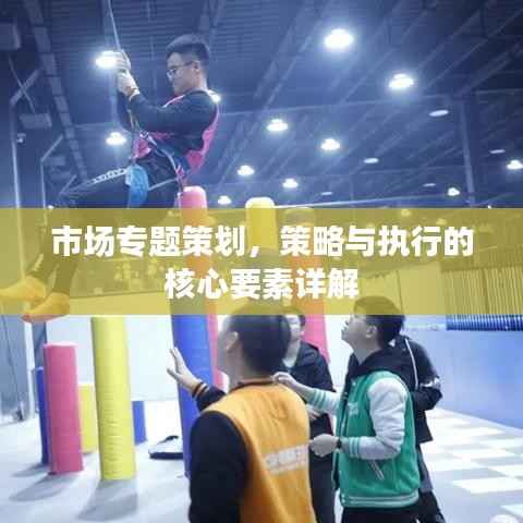 市场专题策划,策略与执行的核心要素详解