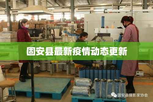 固安县最新疫情动态更新