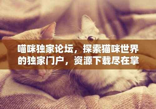 喵咪独家论坛，探索猫咪世界的独家门户，资源下载尽在掌握