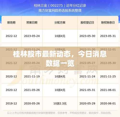 桂林股市最新动态，今日消息数据一览