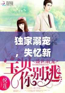 独家溺宠,失忆新郎的甜蜜纠缠