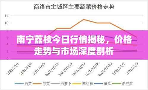 南宁荔枝今日行情揭秘,价格走势与市场深度剖析