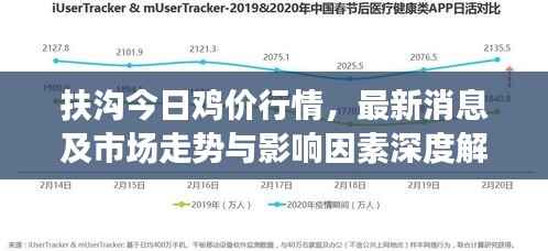 扶沟今日鸡价行情,最新消息及市场走势与影响因素深度解析