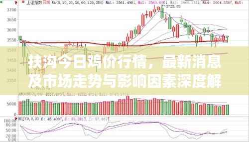 扶沟今日鸡价行情,最新消息及市场走势与影响因素深度解析