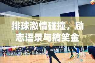 排球激情碰撞,励志语录与搞笑金句交织的篇章