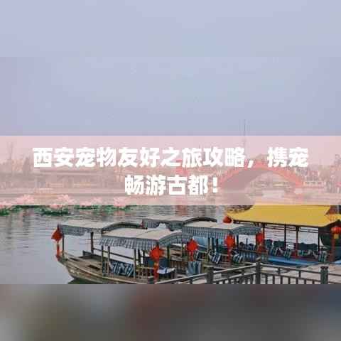 西安宠物友好之旅攻略,携宠畅游古都!