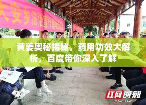 黄姜奥秘揭秘,药用功效大解析,百度带你深入了解