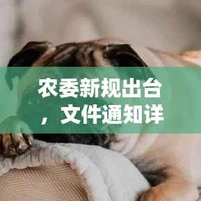 农委新规出台，文件通知详解