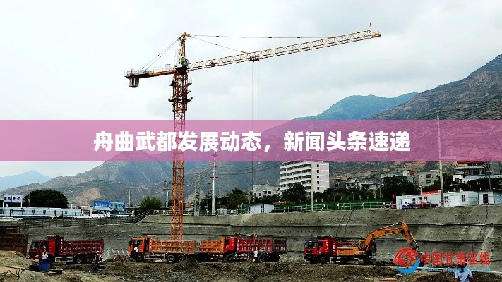 舟曲武都发展动态，新闻头条速递