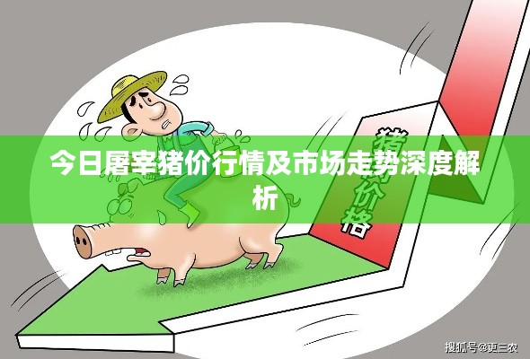 今日屠宰猪价行情及市场走势深度解析