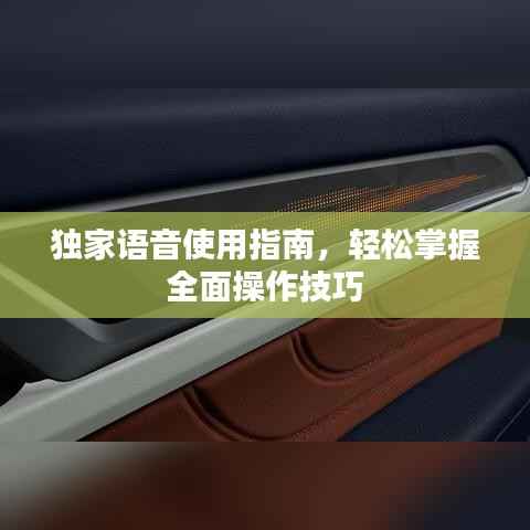 独家语音使用指南，轻松掌握全面操作技巧