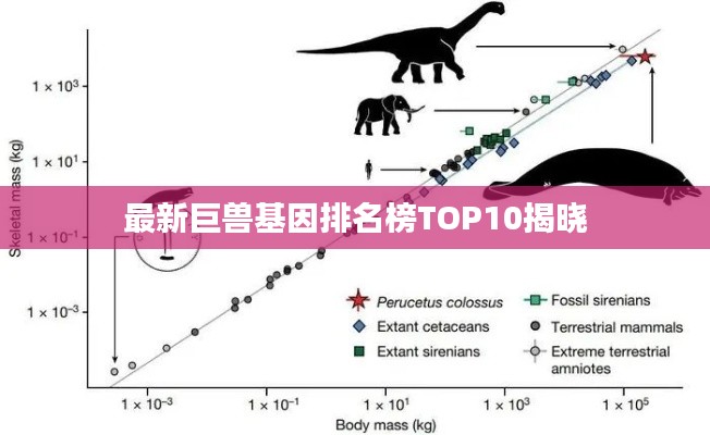 最新巨兽基因排名榜TOP10揭晓