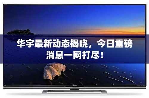 华宇最新动态揭晓，今日重磅消息一网打尽！