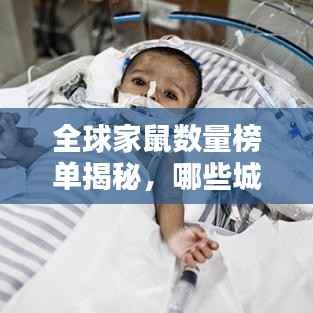 全球家鼠数量榜单揭秘,哪些城市家鼠数量最多?